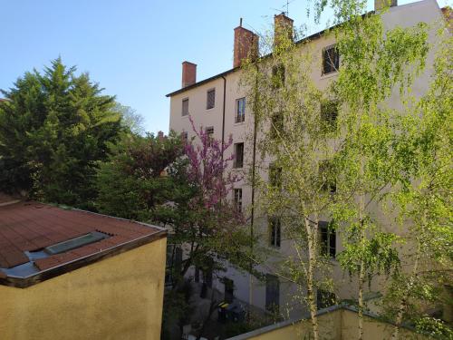 Berge du Rhône, Centre Lyon, espace de travail, tout à pied, Université Lyon 2 et Lyon 3, idéal voyage d'affaires, tourisme, loisirs