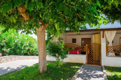 Eden Residence Club – Photos 2