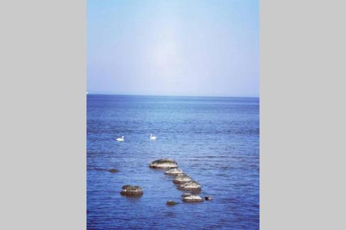 a group of rocks in the middle of the ocean at Stilren studiolägenhet på 20 kvm nära havet och centrum! Stationsterrassen 7 in Båstad