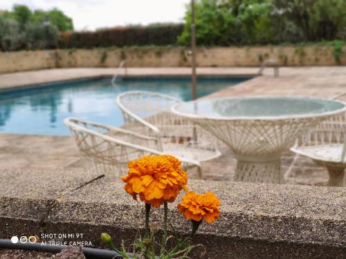 Бассейн в Villa Blanca con piscina a 15 minutos de Toledo или поблизости