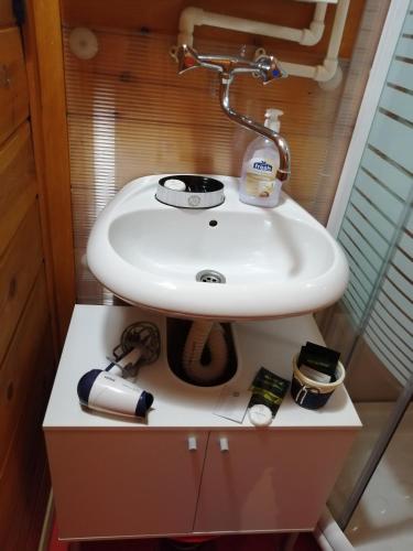 a bathroom with a sink in a small room at Chalet Four Seasons in Zlatibor