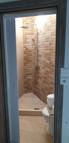 a bathroom with a shower and a toilet at Alexia's Apartments in Rio