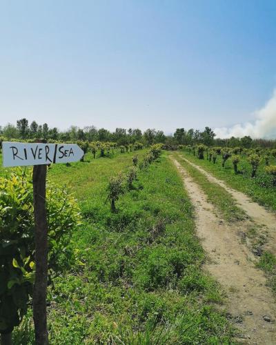 a street sign on a dirt road in a field at Villa Laura Apartment in Giardini Naxos