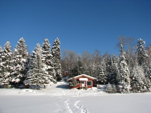 a small cabin in a snow covered forest with trees at Kan-à-Mouche Pourvoirie Auberge et Chalets in Saint-Michel-des-Saints