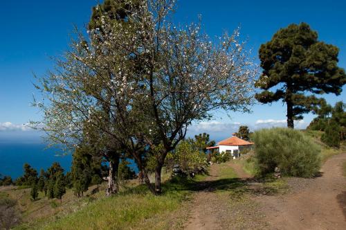 Vakantiehuis Mil Estrellas (Spanje Garafía) - Booking.com