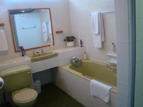 a bathroom with a green tub and a sink and a toilet at Aqua Marine Guest House in Port Elizabeth