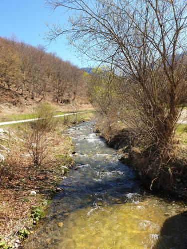 a stream of water next to a field with trees at Lake House in Novi Pazar