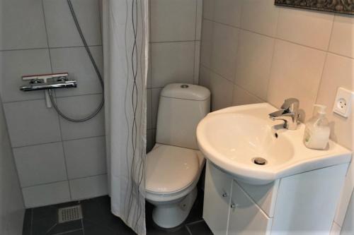 y baño con aseo y lavamanos. en Kerteminde Byferie - Hyrdevej 83, 85K en Kerteminde