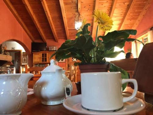 een vaas met een gele bloem op een tafel bij Hostal Rural Casa Pedro in San Martín de Unx