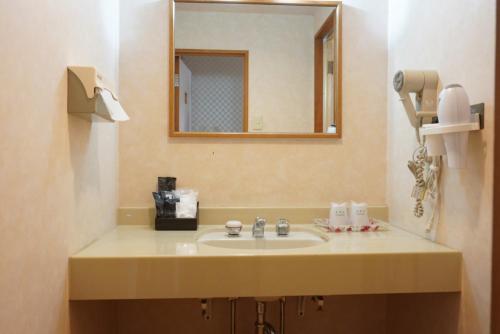 a bathroom with a sink and a mirror at Green Spa Tsutsuga in Akiota