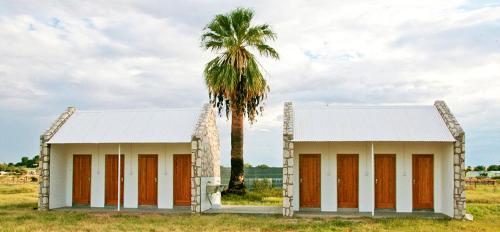 una palmera y un edificio con una palmera en Kalahari Farmhouse Campsite, en Stampriet