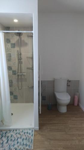 une salle de bain avec toilettes et douche en verre dans l'établissement Au galet bleu, à Dieppe