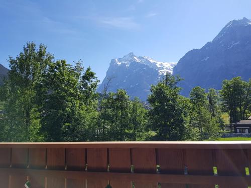 a view of the mountains from a fence at Chalet Bodenwald in Grindelwald
