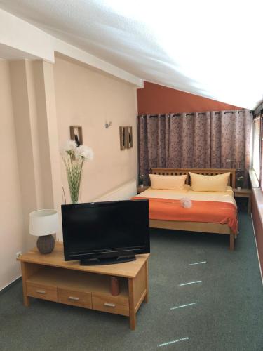 a room with two beds and a television in it at Pension Mühlhahn in Schierke