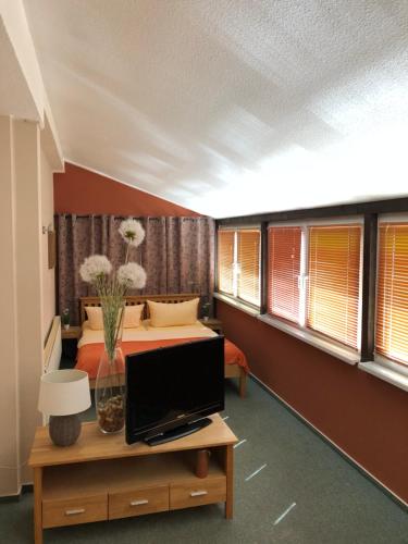 a bedroom with a bed and a tv on a table at Pension Mühlhahn in Schierke