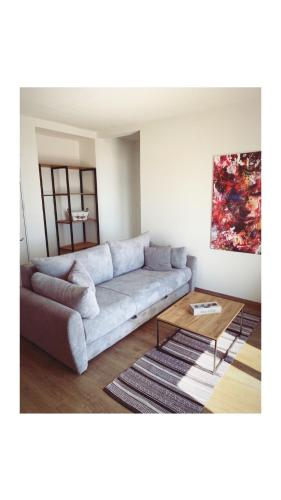 a living room with a couch and a table at Apartments Mrdak in Bar