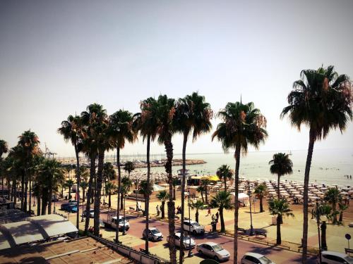 a view of a beach with palm trees and the ocean at Lokàl Boutique Hotel in Larnaka