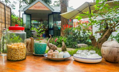 a table with birds and other items on it at Stop and Go Boutique Hotel in Da Lat