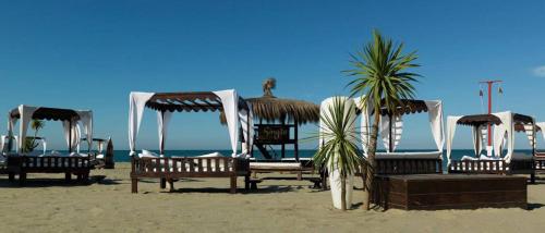 a group of chairs and a palm tree on the beach at Casa Celeste Fregene, il mare di Roma in Fregene