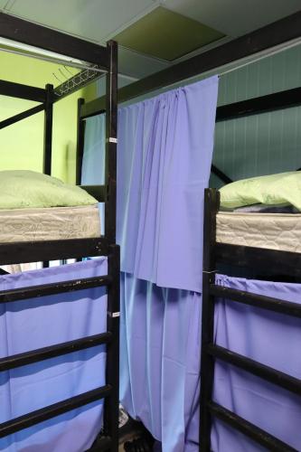 モスクワにあるTravel Inn Timiryazevskayaの紫色のカーテンが備わるドミトリールームの二段ベッド2台分です。