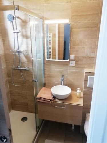 une salle de bain avec un lavabo et une douche dans l'établissement Appartement refait par architecte. Proche de la gare et le centre de Reims, à Reims
