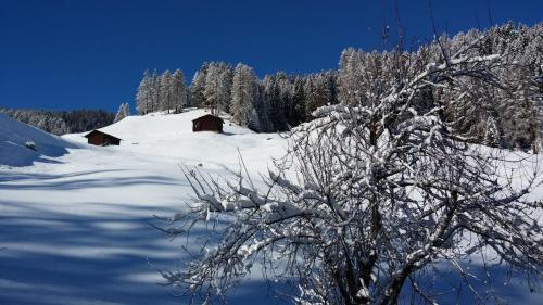 a snow covered hill with a cabin in the background at Ferienwohnung Gadenstatt in Davos