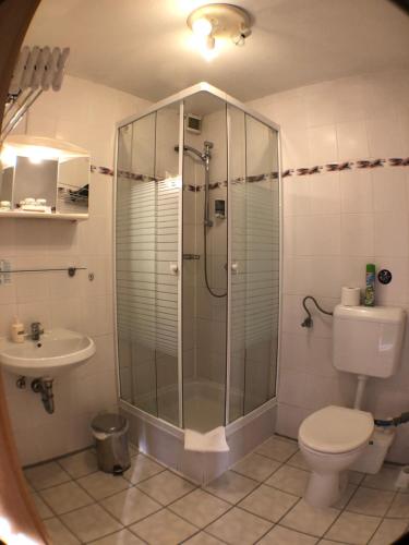 y baño con ducha, aseo y lavamanos. en Apartment Hotel Seebach en Großenseebach
