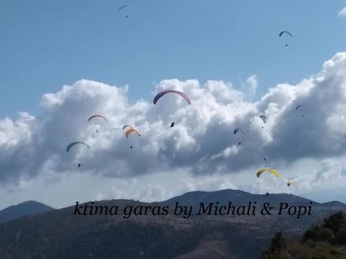 a bunch of kites flying in the sky at Ktima Garas in Paralia Panteleimonos