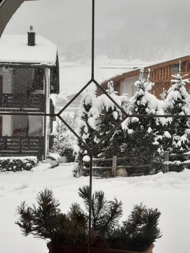 a snow covered yard with a christmas tree at Garni Franca b&b in Selva di Val Gardena