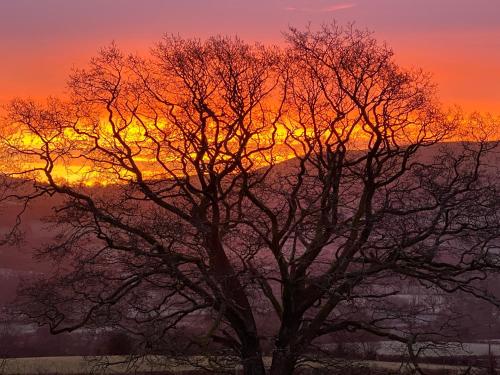 Amanecer o atardecer desde la casa vacacional o alrededores