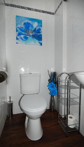 a bathroom with a toilet and a blue flower at Clover Holidays - Cliff View in Perth