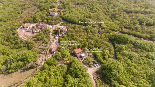 an aerial view of a house in the middle of a forest at The Forest House Krk 1 in Kras