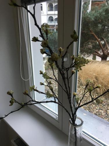 Afbeelding uit fotogalerij van Villa Odin "Strandläufer" in Ostseebad Sellin