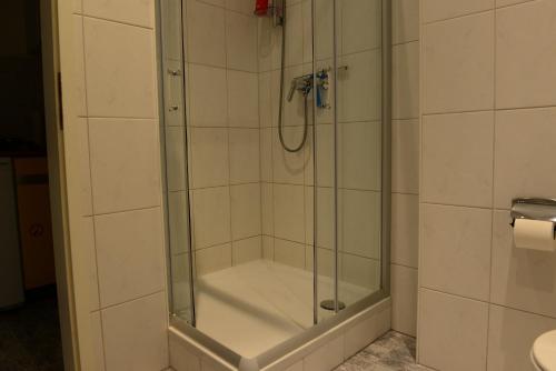 a shower with a glass door in a bathroom at Monteur und Messewohnung in Rodgau