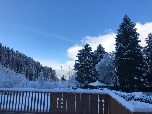 Το Holidays Dolomiti Apartment Resort τον χειμώνα