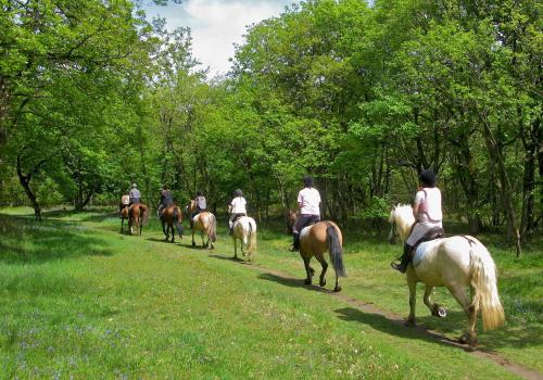 a group of people riding horses down a path at B&B Dolomitincanto in Cesiomaggiore