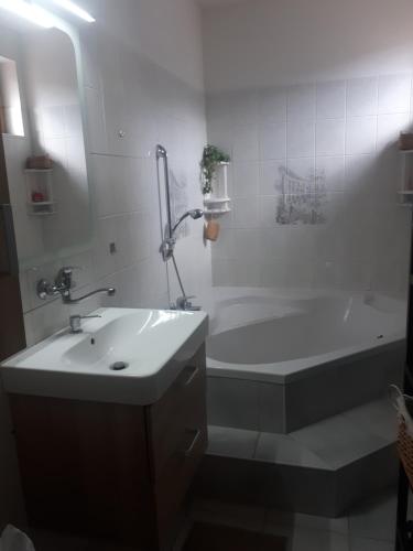 Apartmán Křtinyにあるバスルーム