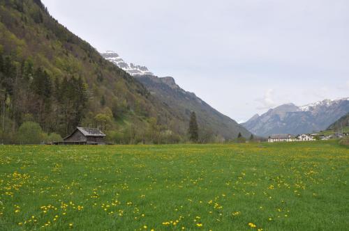 un campo verde con una casa en las montañas en Ferienwohnungen Alter Raaben, en Rüti