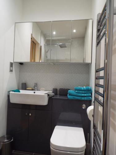 a bathroom with a sink and a toilet and a mirror at Rosybank Cottage in Coldstream