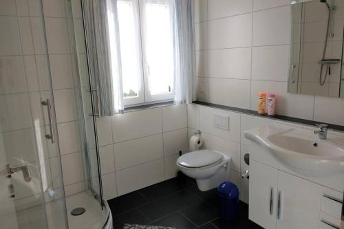 La salle de bains est pourvue de toilettes, d'un lavabo et d'une douche. dans l'établissement sehr schöne Ferienwohnung in Ebersberg bei München, à Ebersberg