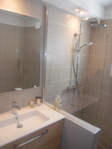 a bathroom with a sink and a shower at La Maisonnette de l'échappée verte. in Albi