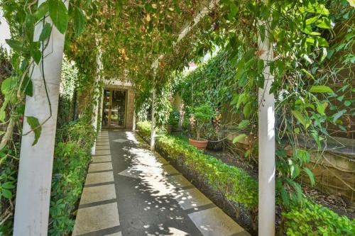 a walkway in a greenhouse with trees and plants at La Riviera Hotel in San Antonio