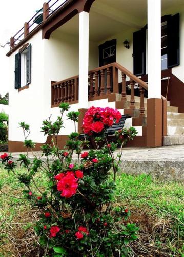 een huis met rode bloemen ervoor bij Vila Joaninha in Santo da Serra