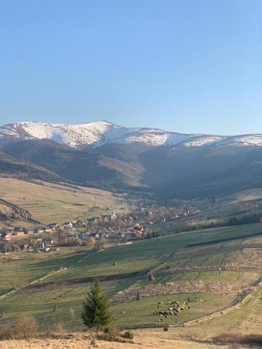 Paysage naturel près de le chalet