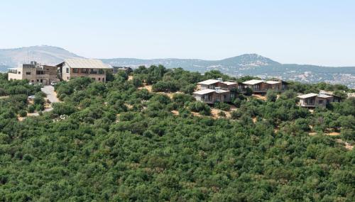 a group of houses on a hill with trees at Ajloun Forest Reserve in Jerash