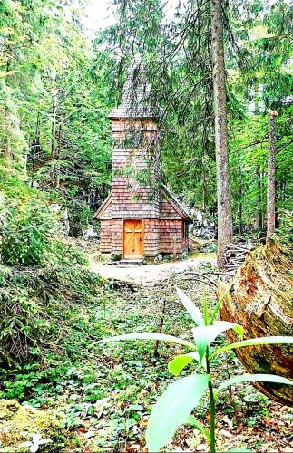 a log cabin in the middle of a forest at Tauglerei Appartement Bernstein in den Zauberbergen in Sankt Koloman