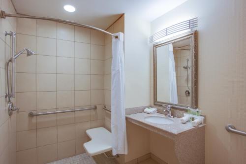 a bathroom with a sink and a toilet and a mirror at Holiday Inn Express Hotel & Suites Greensboro-East by IHG in Greensboro