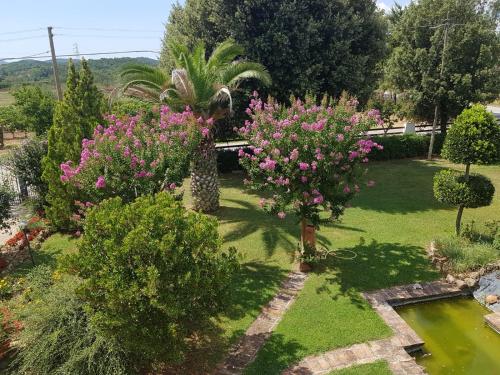 Gambar di galeri bagi Il Podere di Sole di Roccastrada