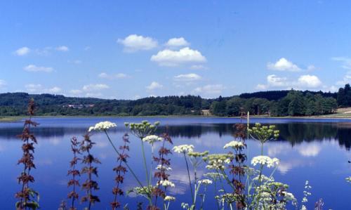 Le Relais des Lacs