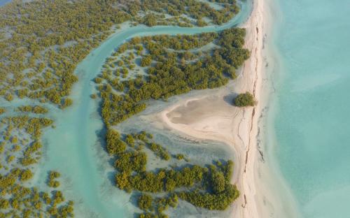 an aerial view of a beach with trees and water at Anantara Sir Bani Yas Island Al Yamm Villa Resort in Da‘sah